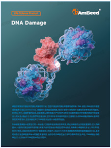 产品手册 | DNA Damage